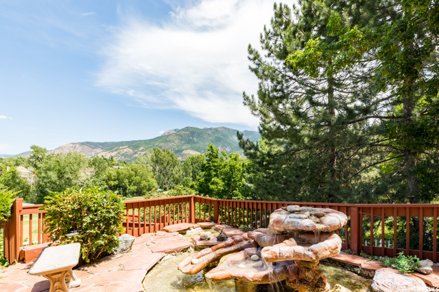 Backyard Waterfall