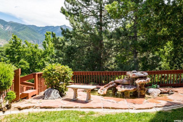 Backyard Waterfall