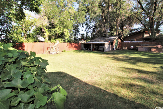 BACK-YARD
