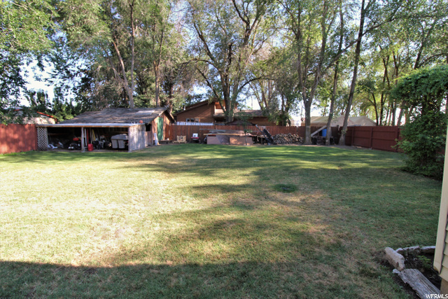 BACK-YARD