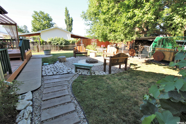 BACK-YARD