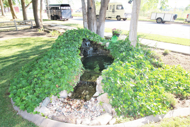 FRONT OF HOME - WATER FEATURE