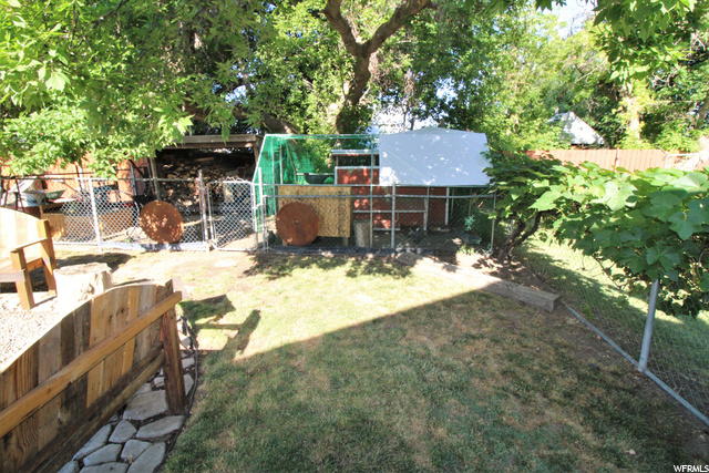 BACK-YARD
