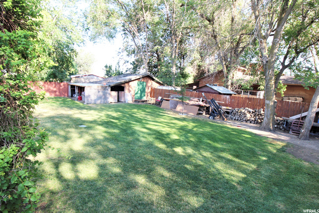 BACK-YARD