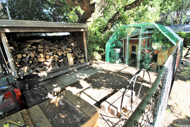 CHICKEN COOP / STORAGE AREA
