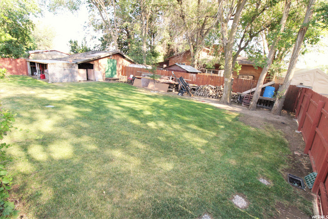 BACK-YARD