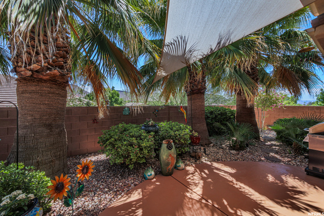 View from Covered Patio