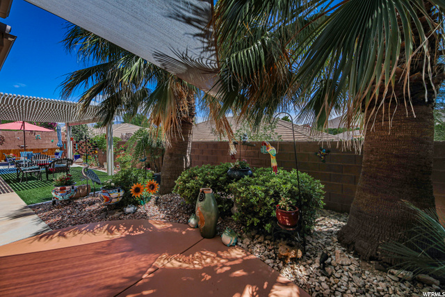 Mature Palm Trees and Landscaping