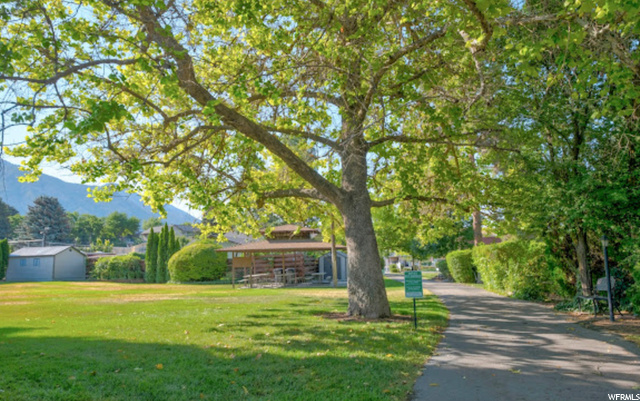 Grassy Area and Pavilion