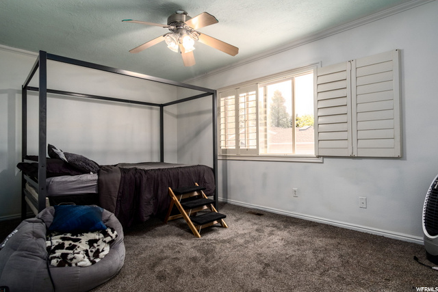 Master Bedroom 2