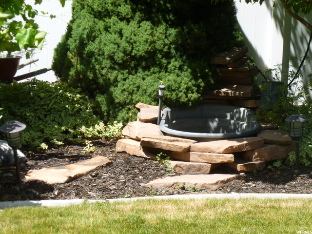 Water feature in back yard