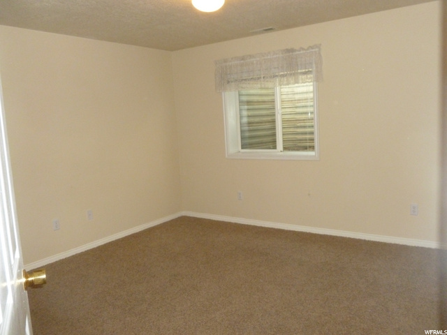 One of 3 downstairs bedrooms