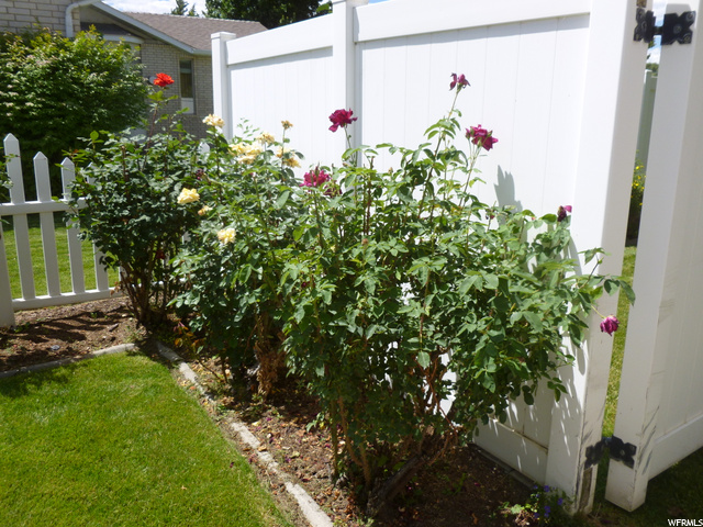 You will love the quiet peaceful back yard