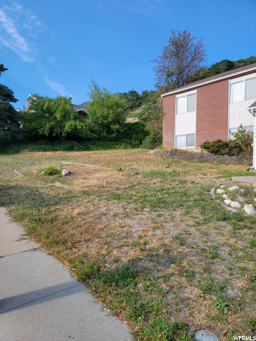 Front Yard