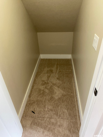 Closet under stairs and access to crawlspace