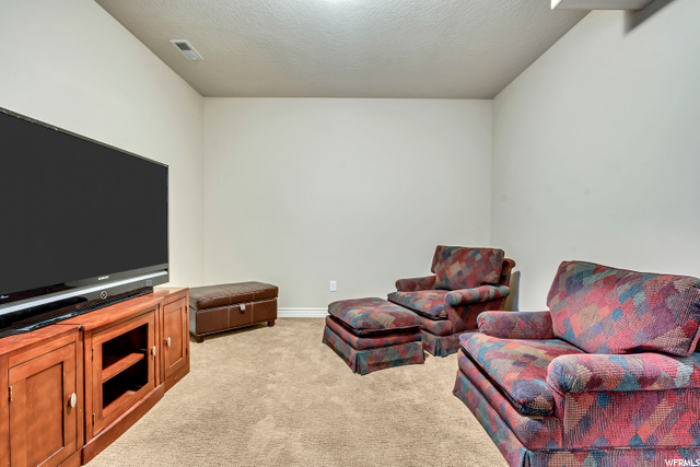 Basement Bedroom or TV room