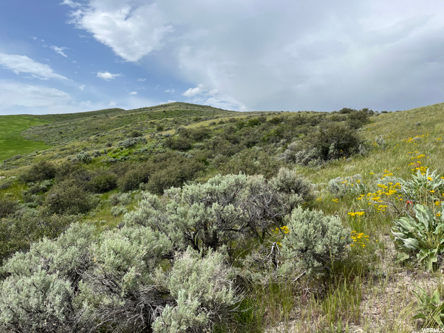 , Bern, ID 83220 — photo 11