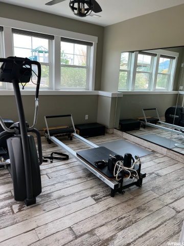 Gym/ Dance