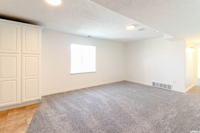 Basement Family Room