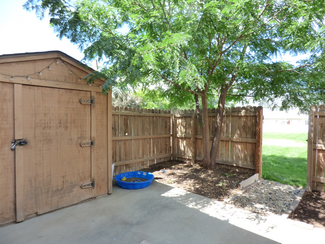 Fenced backyard