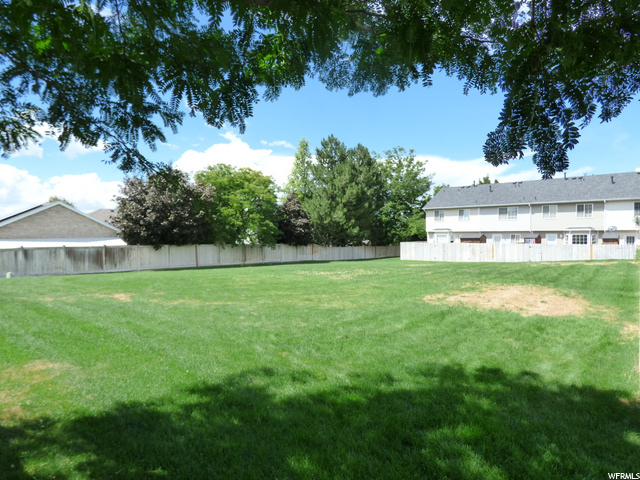 Open area just outside the fenced backyard