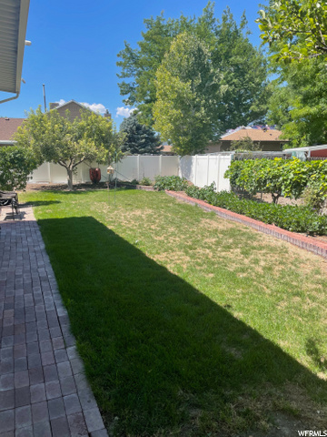 Back yard and garden