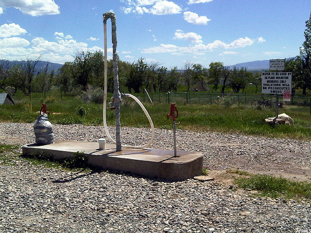 Photo #12