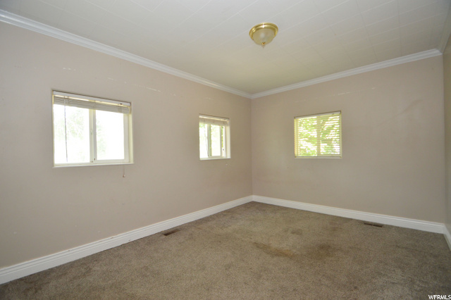 Main Floor Bedroom #3