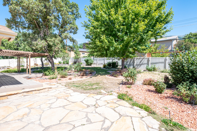 Backyard patio