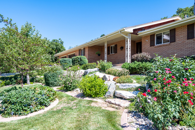 Professionally landscaped yard