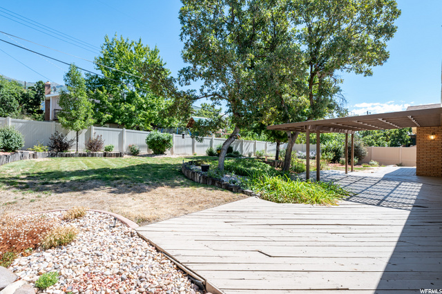 Backyard deck