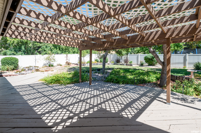 Backyard pergola