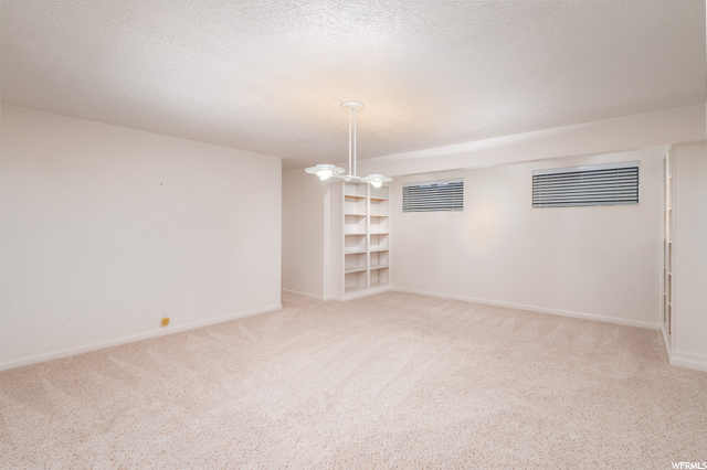 Basement bonus room/den