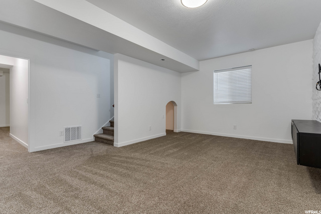 Basement Great Room