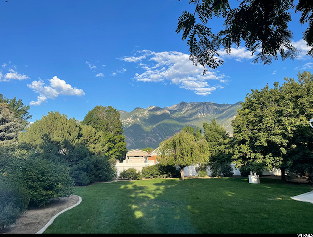 Back Yard View is a MUST SEE!