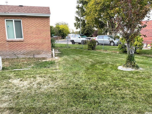 Backyard East Side