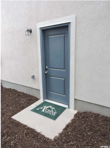 Exterior door out of garage with 3x3 concrete pad and step. Door Painted to Stolen Kiss SW7586 .