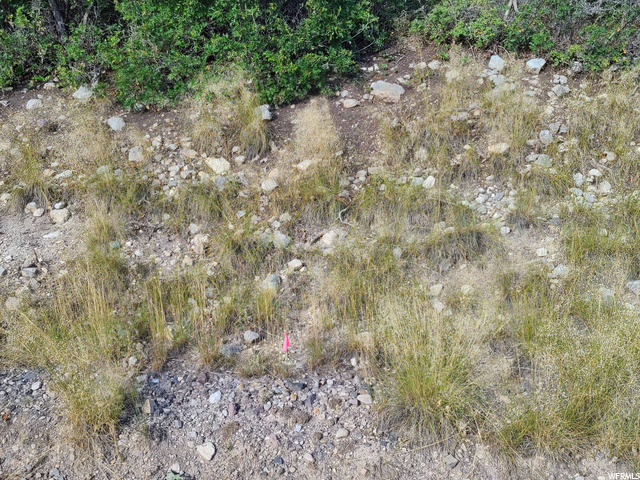 Photo #10