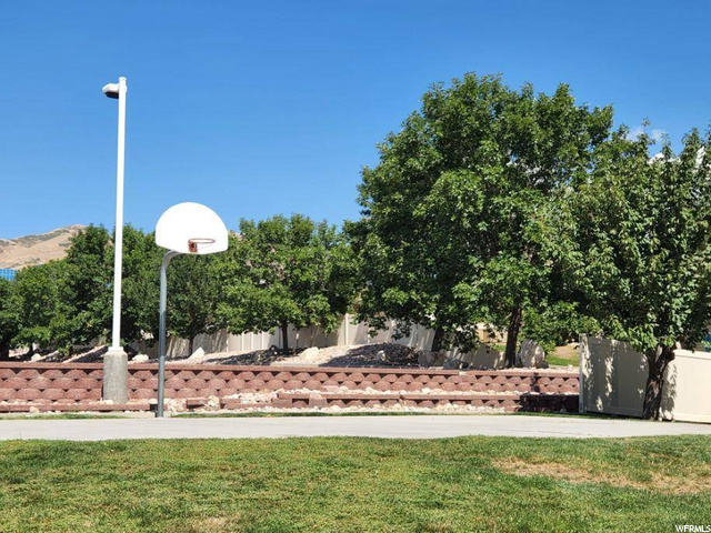 BB court