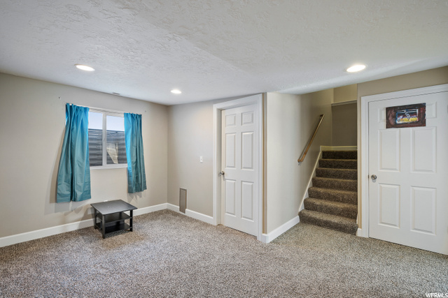 Basement Den
