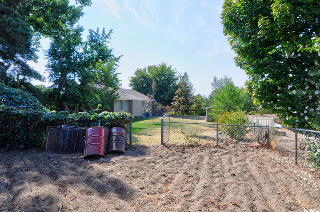 Fenced in garden