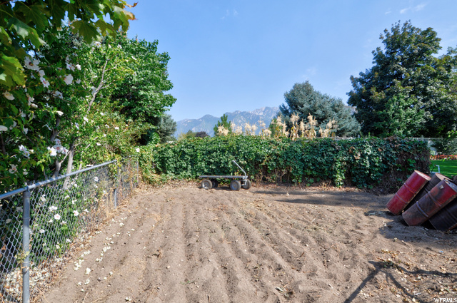Fenced in garden view 3