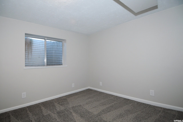 Bedroom 4 (basement)