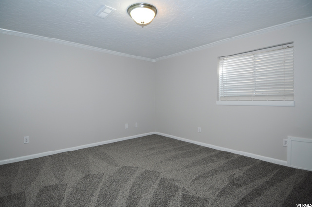 Bedroom 5 view 2 (basement)