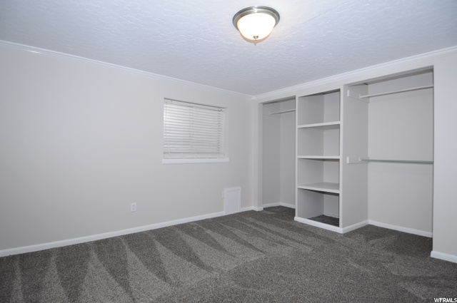 Bedroom 5 (basement)
