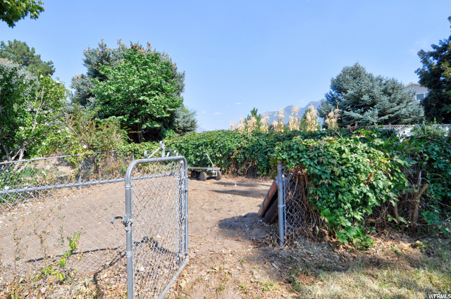 Fenced in garden view 2
