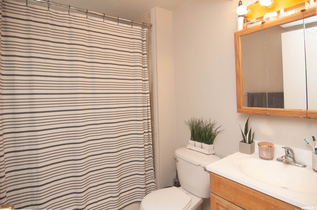 Basement Bathroom