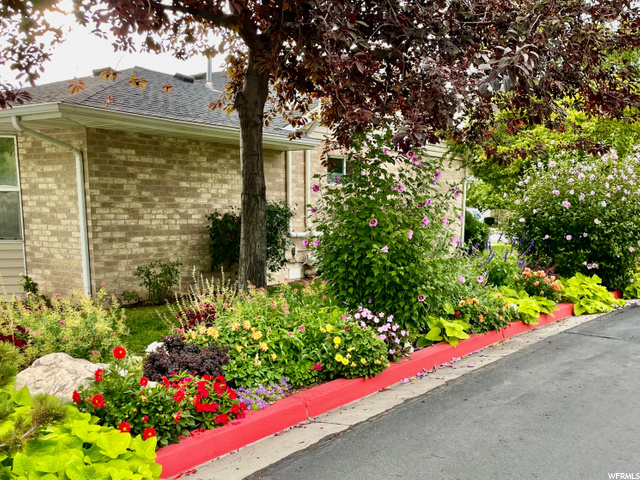 Beautiful landscaping