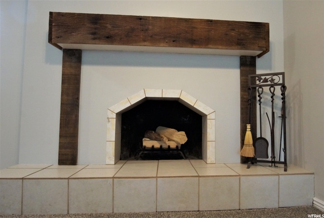 Wood Burning Stove