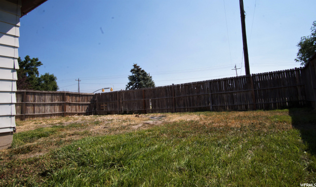 Large Roaming Yard